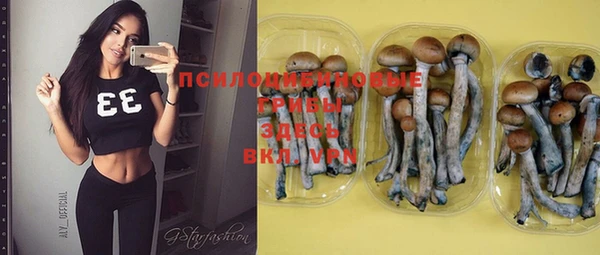 круглые Алексин