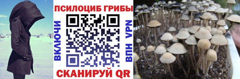 Галлюциногенные грибы прущие грибы  Белоярский 